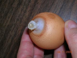 39800_weird_egg3.jpg