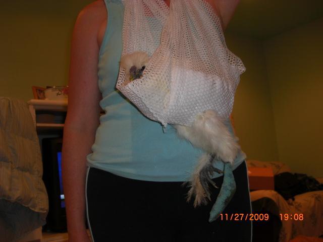 3996_jakes_sling_and_recovery_022.jpg