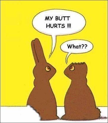 3_easter_chocolate_bunnies1.jpg