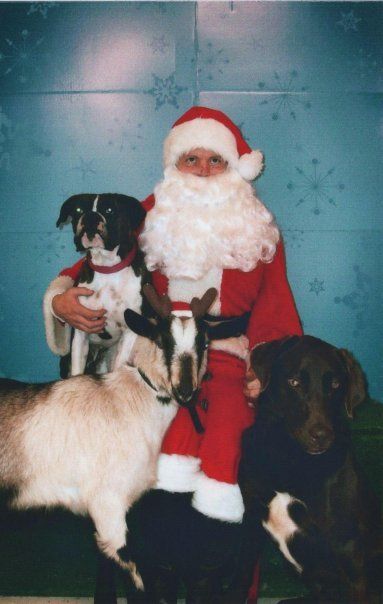 40051_xmas.jpg