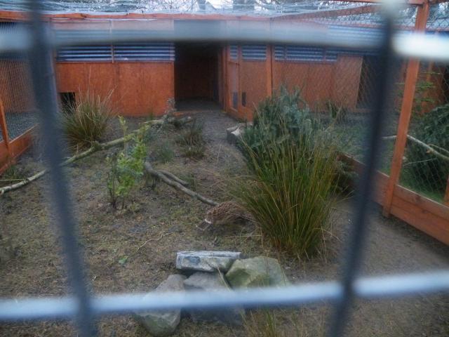40112_vibe_2011_025.jpg
