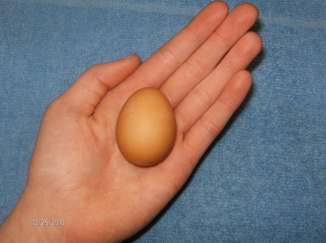 40114_winnies_1st_in_hand.jpg