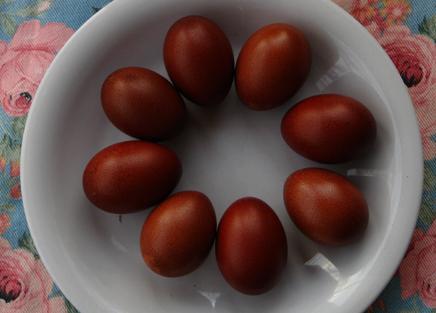 40145_bluecoppereggs.jpg