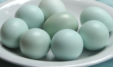 40145_wheatieeggs.jpg