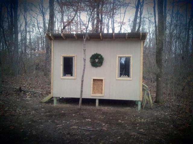 40181_christmas-coop.jpg