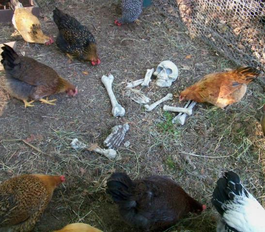40181_halloween-web-6.jpg