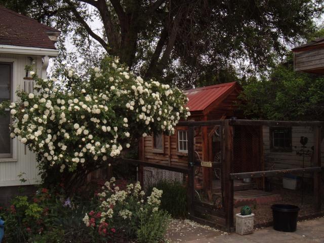 40221_rosa_as_6-9-112.jpg