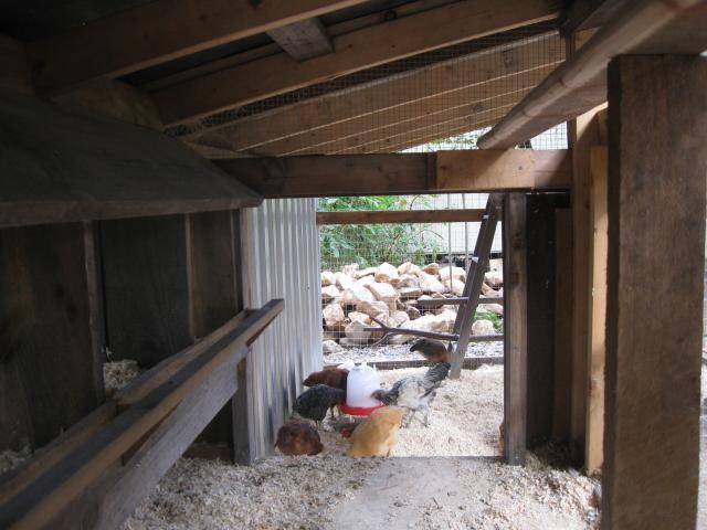 40242_img_1200.jpg