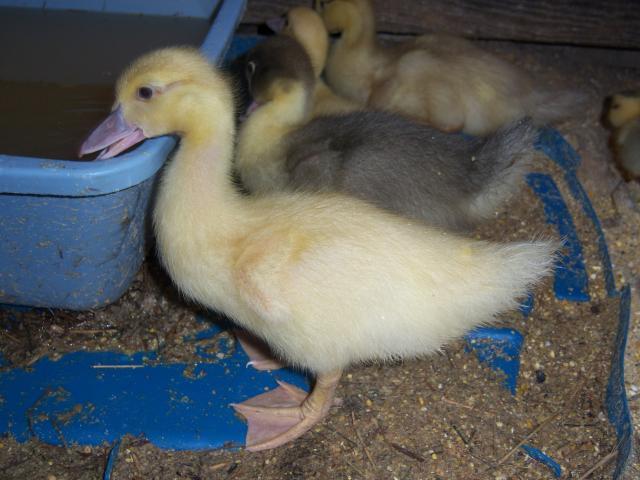 40256_0000_191.jpg