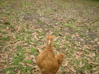 40308_byc_003.jpg