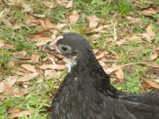 40308_byc_008.jpg