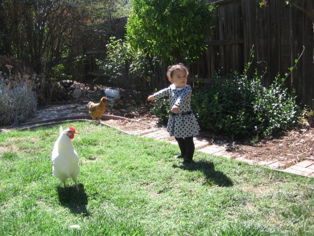40351_010.jpg