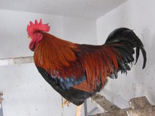 40359_img_0283.jpg