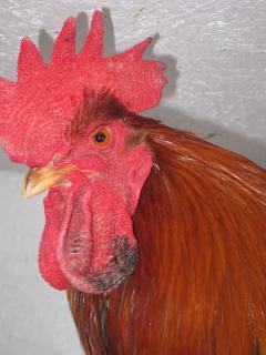 40359_img_0305.jpg