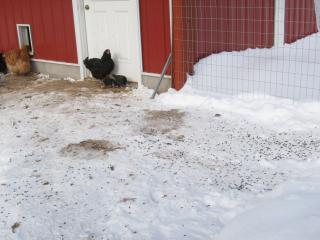 40359_img_0407.jpg