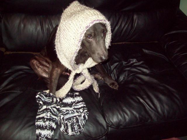 40360_100_2500.jpg