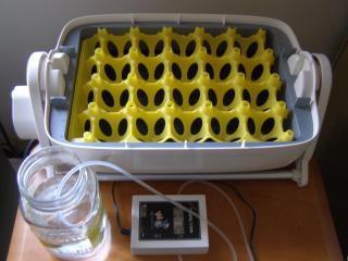 40411_p2062509.jpg