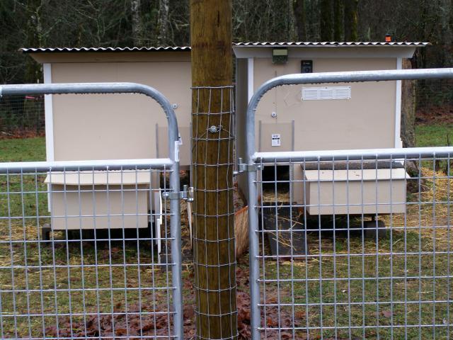 40411_pc202375.jpg