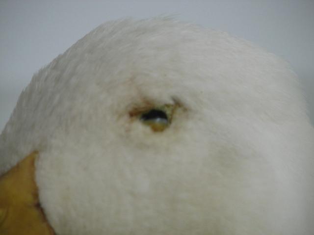 40417_img_8245.jpg