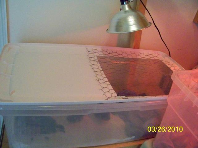 40434_010.jpg