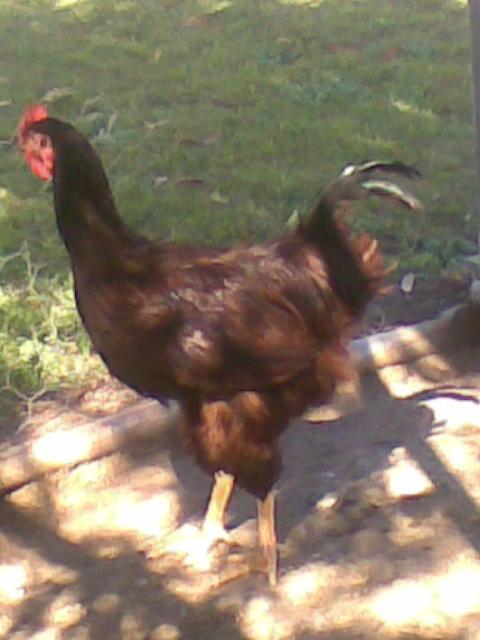 40515_15082009060.jpg