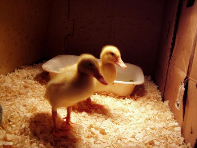 40537_2011march_1.jpg