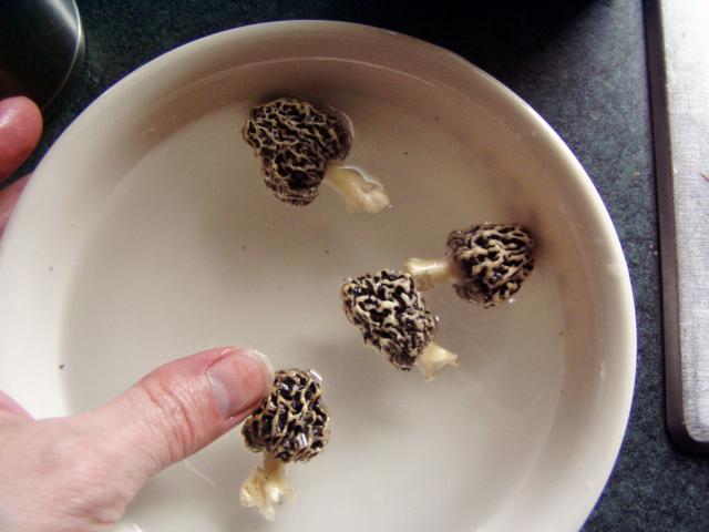 40537_2011may_1.jpg