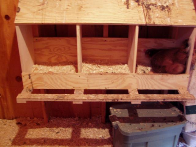 40537_fall2009_013.jpg