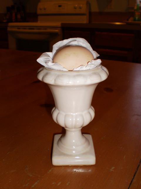 40561_lucks_first_egg.jpg