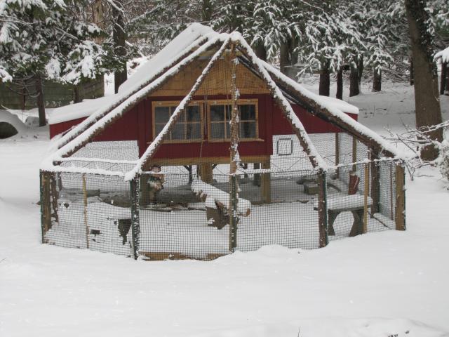 40569_005.jpg