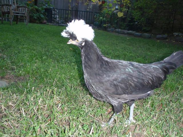 40605_pb250220.jpg