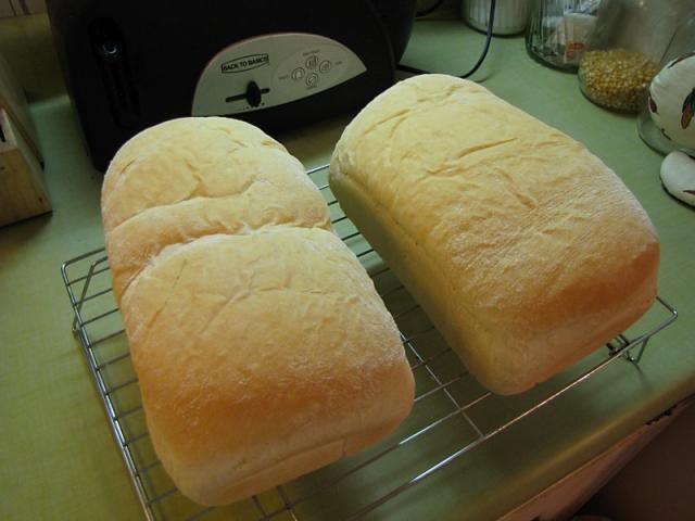 40643_my_first_homemade_loafs_of_bread.jpg