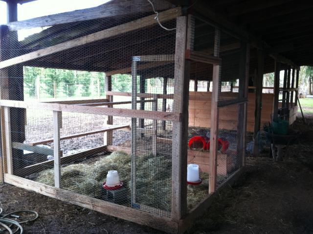 pole barn type chicken coop BackYard Chickens - Learn 