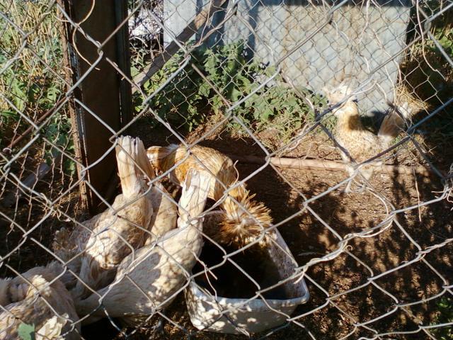 40710_018_2.jpg
