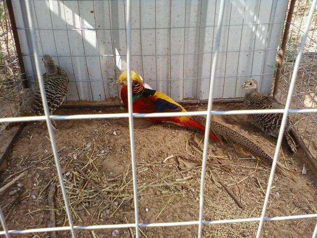 40710_022.jpg