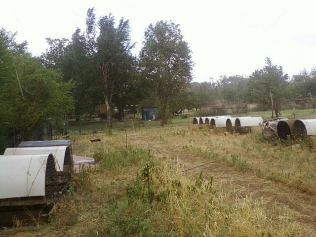 40710_034.jpg