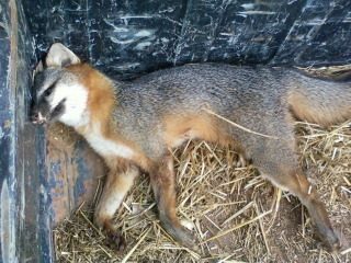 40710_135.jpg