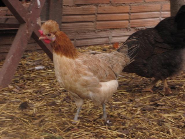 40730_012.jpg
