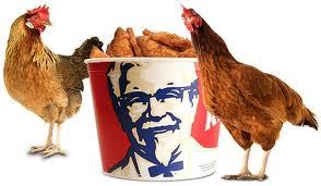 40731_kfc.jpg