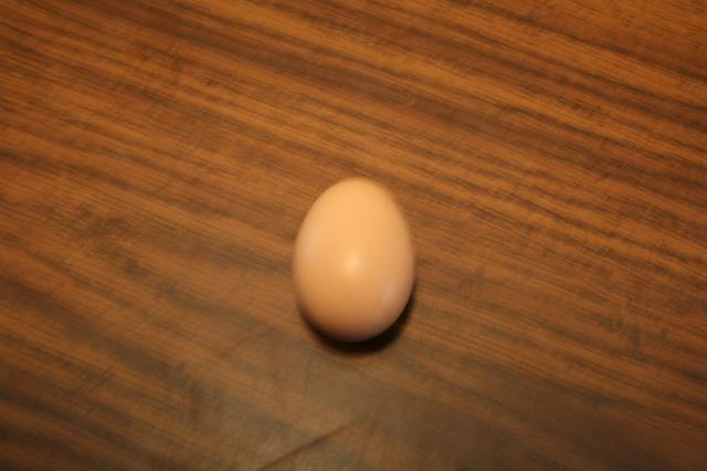 40865_chicken_001.jpg
