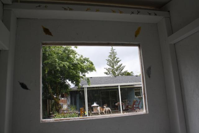 41013_002.jpg