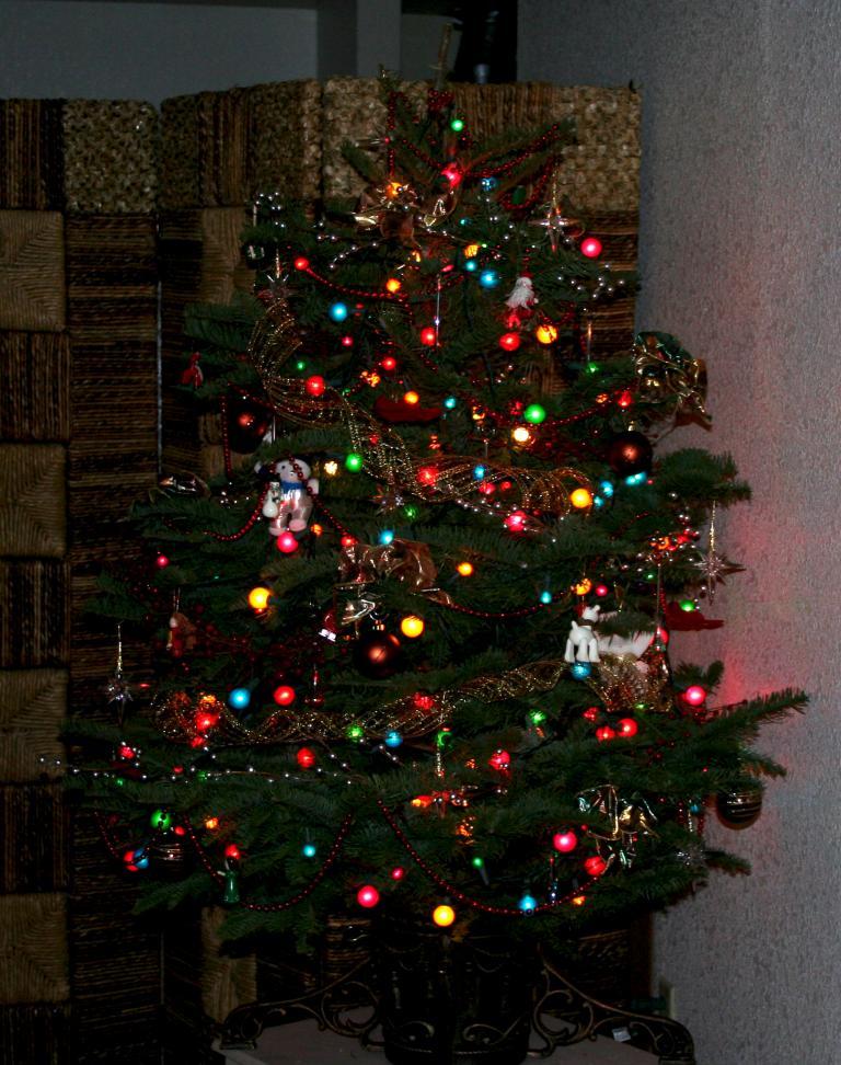 41069_2011_tree.jpg