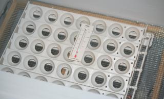 41069_finished_shelf.jpg