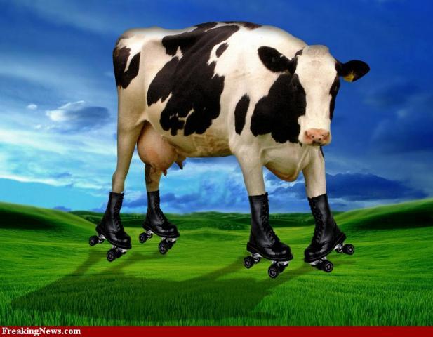 41094_as-awkward-as-a-cow-on-roller-skates-57218.jpg