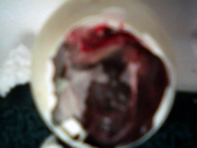 41094_pict0043.jpg