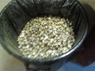 41095_trash_quails.jpg