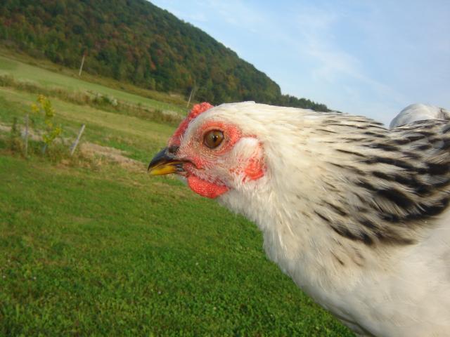 41186_sept09_009.jpg