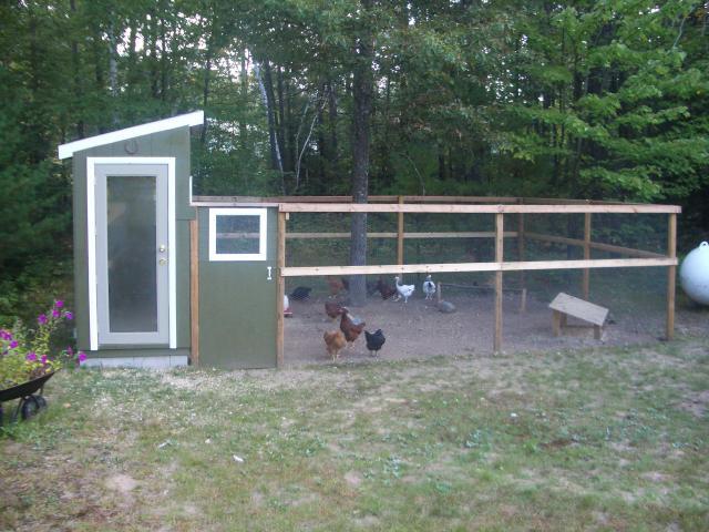 Mlo88jcos Chicken Coop BackYard Chickens