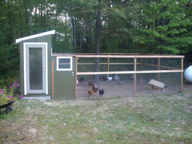 41210_chicken_coop_4.jpg