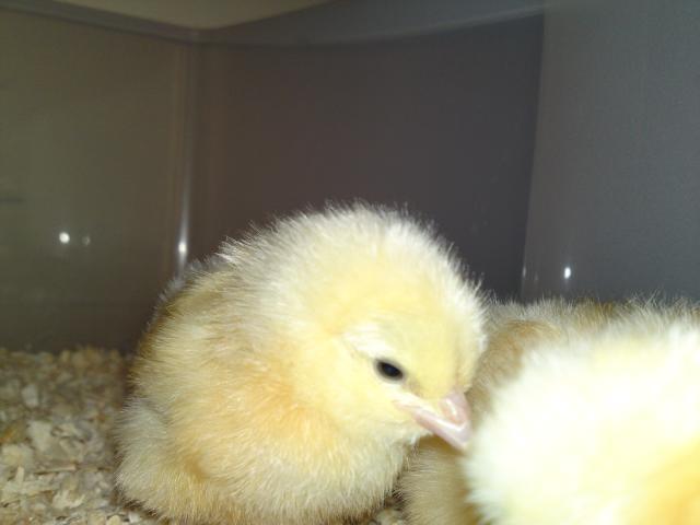 41240_07022010123.jpg
